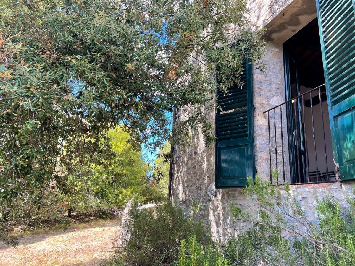 Agriturismo Cetamura Castelnuovo Berardenga Exteriér fotografie